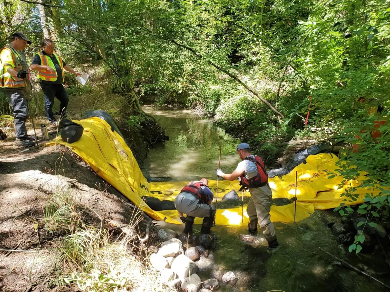 Setting up a dam on the Colquitz River