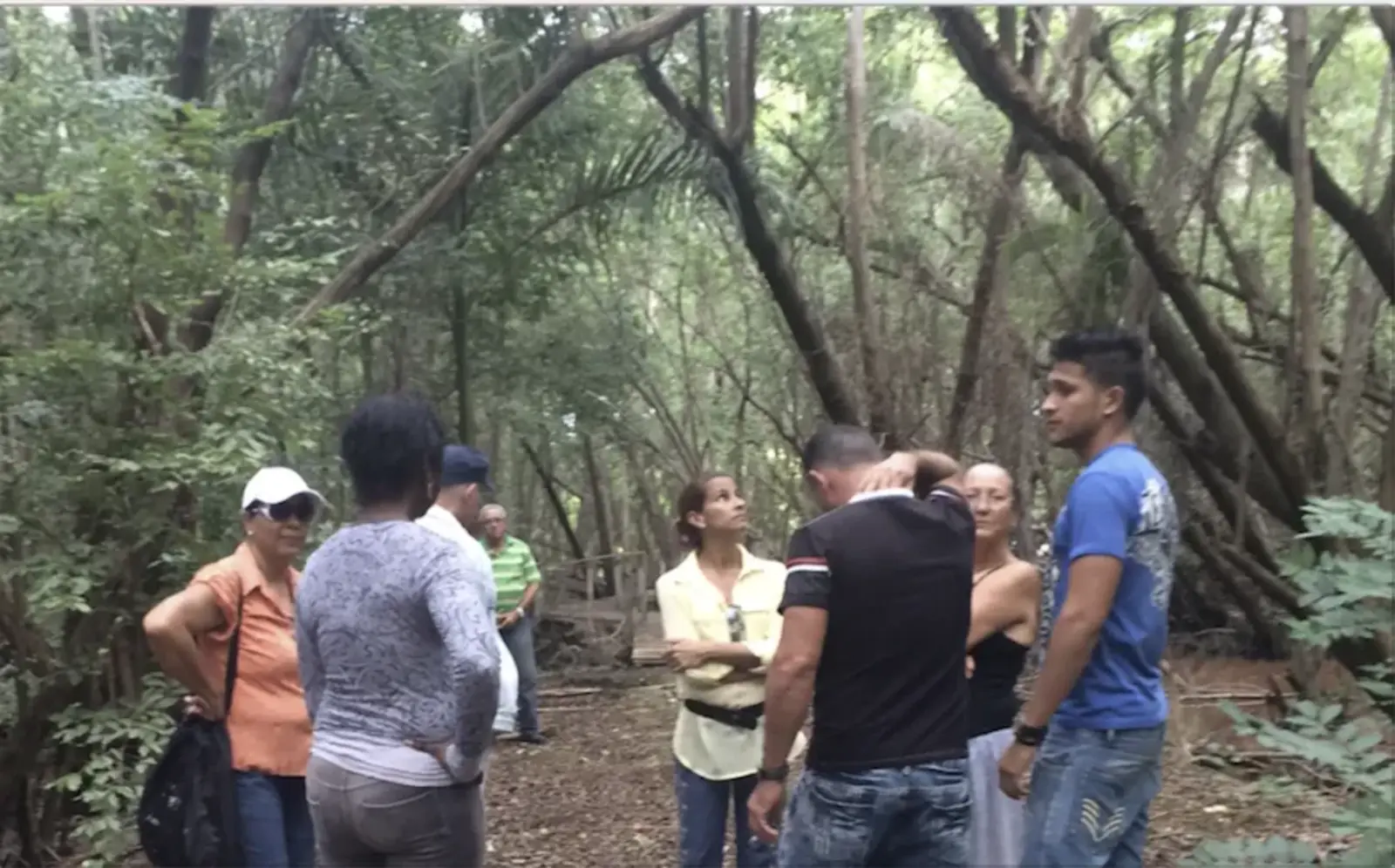 In the Guanabo Mangrove Forest, restored by Cuban Green Mapmakers