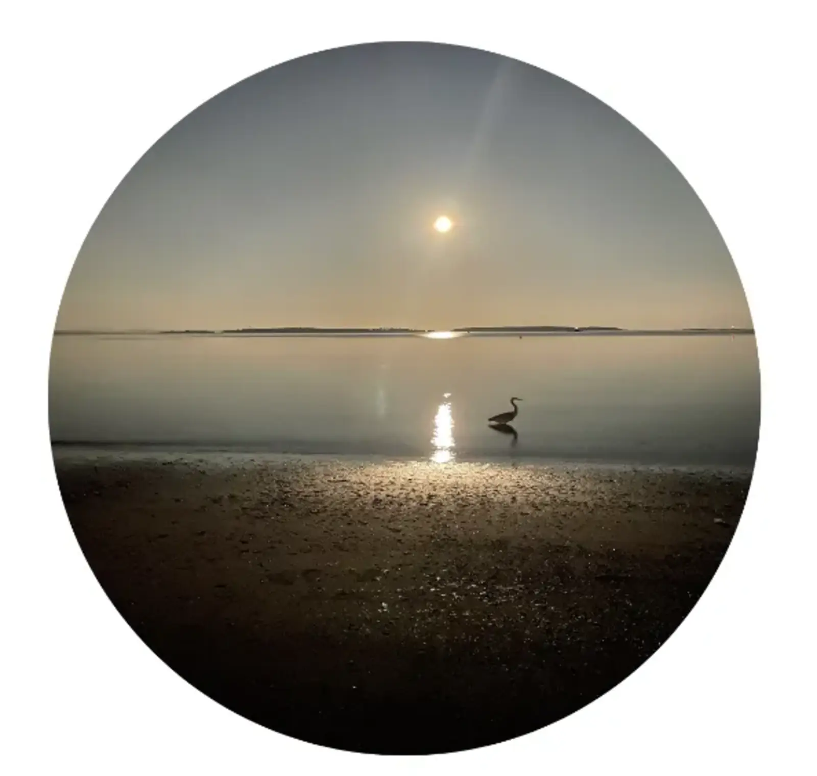 The full moon rises at Sitchanalth (now Willows Beach, Oak Bay - Victoria BC)