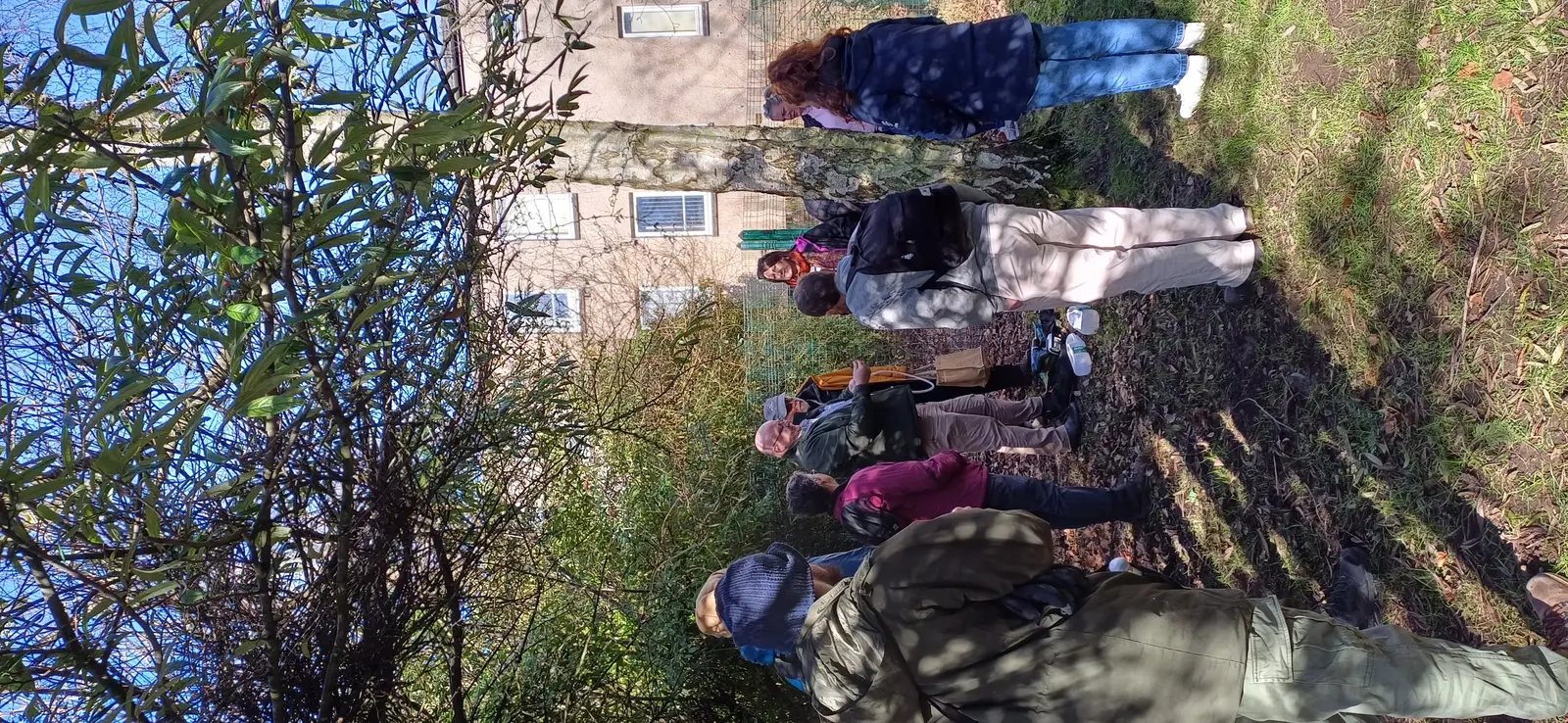 Preparing to tap the Birch Tree